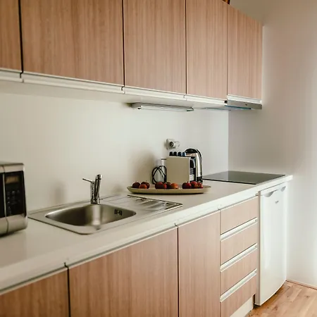 Appartement Luxury Zelny Trh 4 Brno