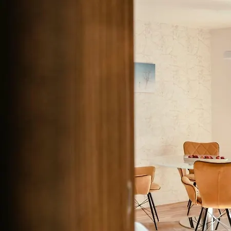 Apartment Luxury Zelny Trh 4 *
