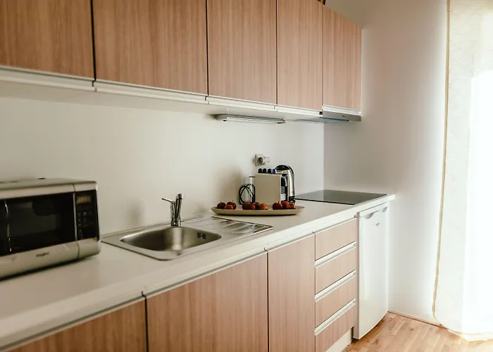 아파트 Luxury Zelny Trh 4 브르노